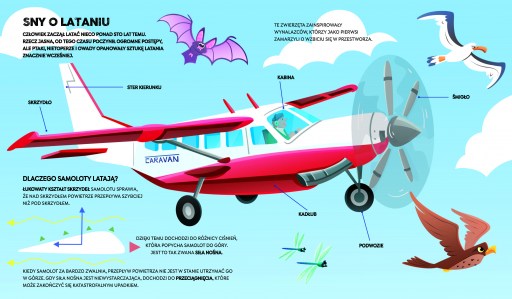Samoloty_środi_eli_Strona_1