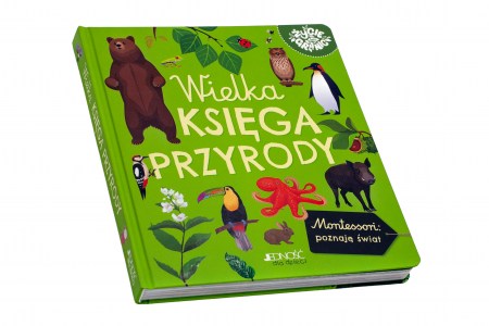 przód55