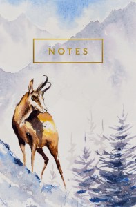 notes_135x205mm_2022_kozica